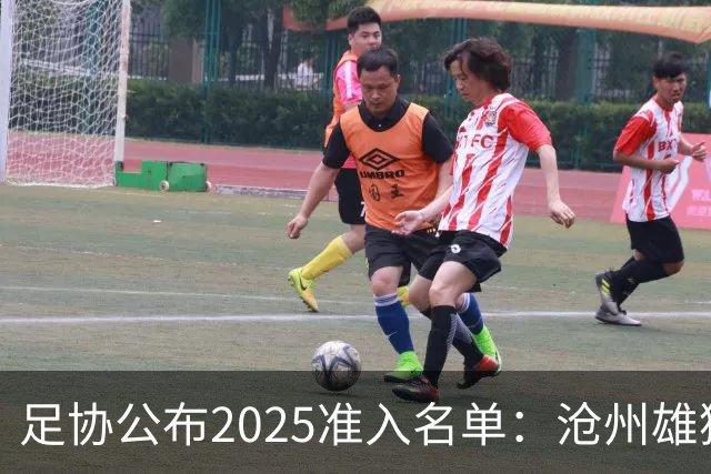 足协公布2025准入名单：沧州雄狮、广州队无缘